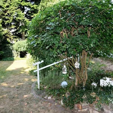 Appartement Schone 3 *